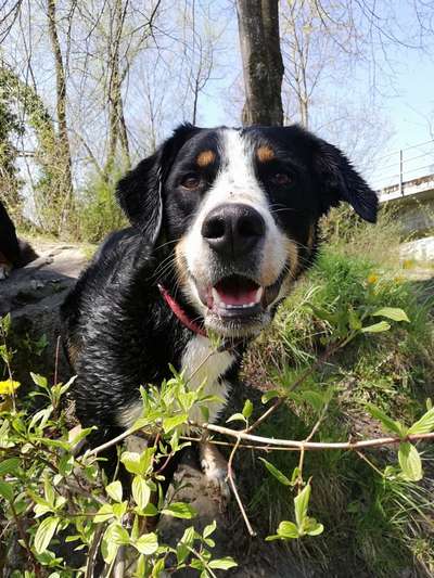 Fotochallange Nr. 57     PORTRÄT.   Beendet!!!!!!!!-Beitrag-Bild