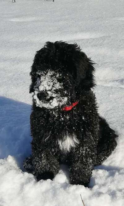 Lieblingsbild-Beitrag-Bild