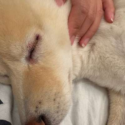 Erfahrungen mit Soligental 3000-Beitrag-Bild