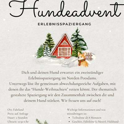 Hundetreffen-✨ HUNDEADVENT – Erlebnis­spaziergang in Potsdam ✨-Bild