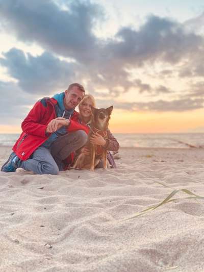 Die Dogorama Wochen Challenge: “Dein Hund im Urlaub”-Beitrag-Bild