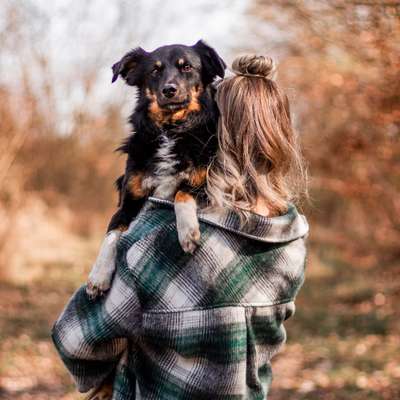 Hundetreffen-Gassirunde Hundewiese-Profilbild