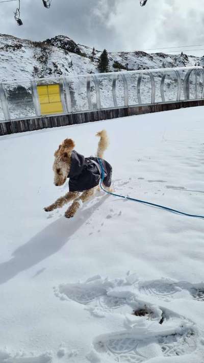 Der erste Schnee, zeigt uns eure tollen Schneemomente-Beitrag-Bild