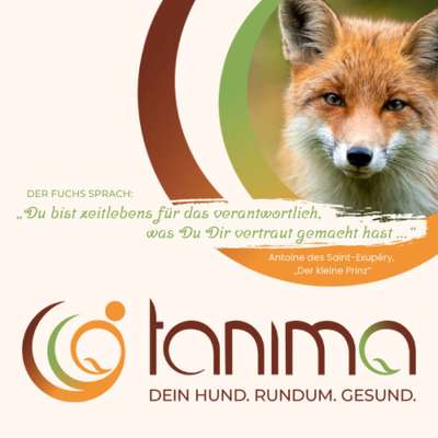 Medizinische Dienstleistungen-tanima | Tierheilpraktikerin Tanja Möller-Bild