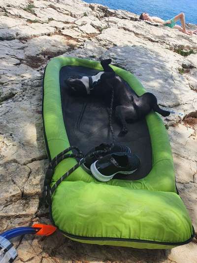 Dogorama Photo Challenge - Schattiges Plätzchen-Beitrag-Bild