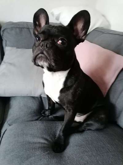 Doppelgänger gesucht !-Beitrag-Bild