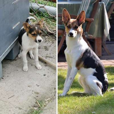 Vorher.... Nachher-Beitrag-Bild