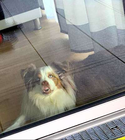 Hier ist der Spaßthread. Zum Schmunzeln und Kaputtlachen-Beitrag-Bild