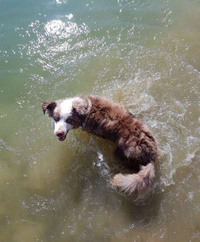 Her mit dem Grimassen-Beitrag-Bild