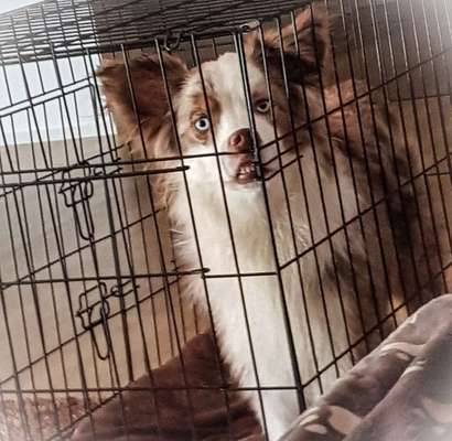 Hier ist der Spaßthread. Zum Schmunzeln und Kaputtlachen-Beitrag-Bild