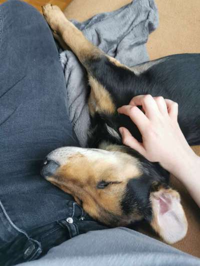 Bright side of life! Schönwetter-Thread-Beitrag-Bild