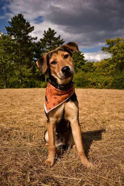 Zeigt eure Portraits-Beitrag-Bild