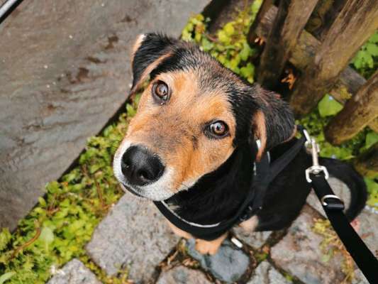 Handy-Foto Challange Nr. 10-Beitrag-Bild