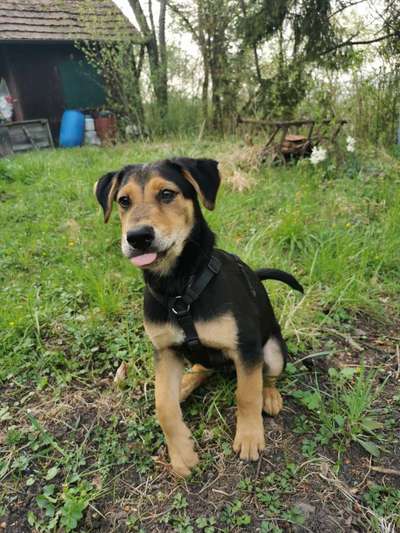 Lustige Grimassen & verrückte Posen-Beitrag-Bild