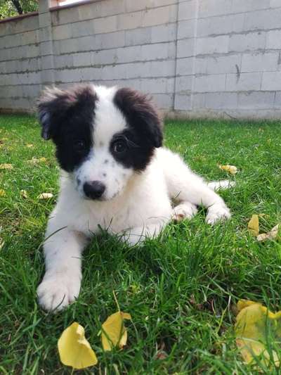 Lieblingsbild-Beitrag-Bild