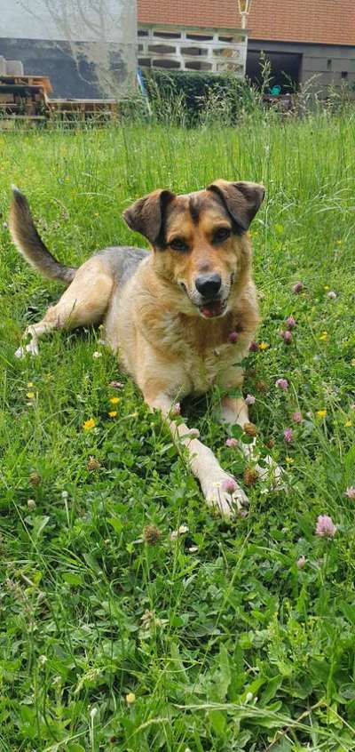 DNA-Test -wer hat schon mal gemacht?-Beitrag-Bild