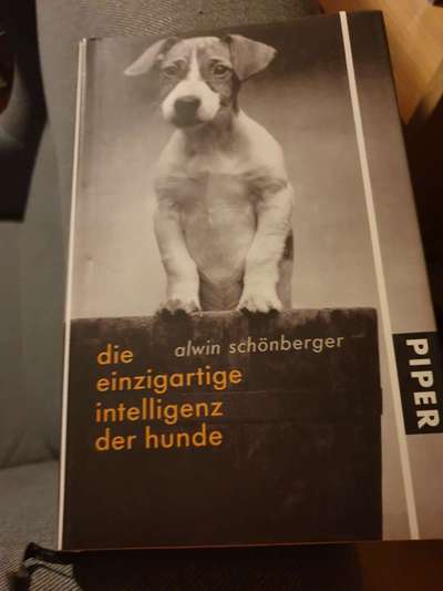 Hunde-Fachliteratur-Beitrag-Bild