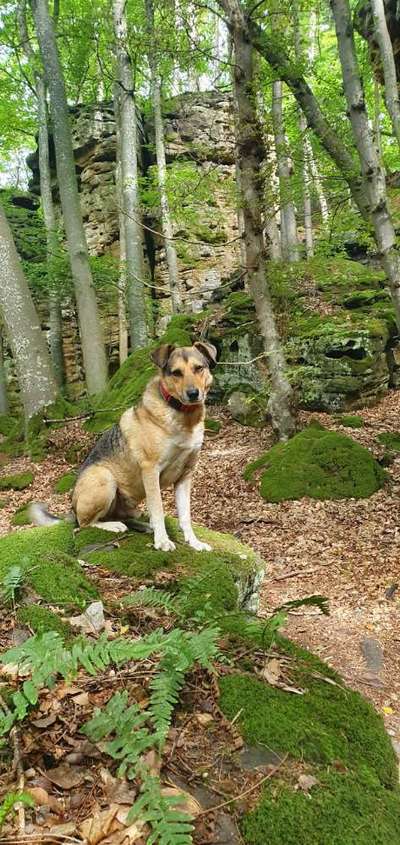 Fotowettbewerb Natur-Beitrag-Bild
