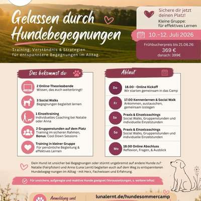 Giftköder-Seminar: Gelassen durch Hundebegegnungen-Bild