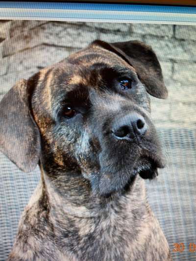 Fotochallange Nr. 57     PORTRÄT.   Beendet!!!!!!!!-Beitrag-Bild