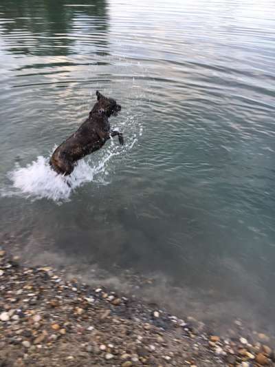 Un...scharf Bilder-Beitrag-Bild