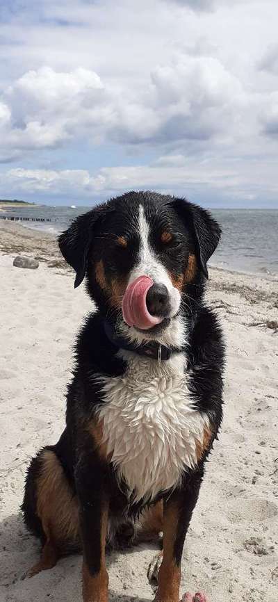 Tongue Out Tuesday-Beitrag-Bild