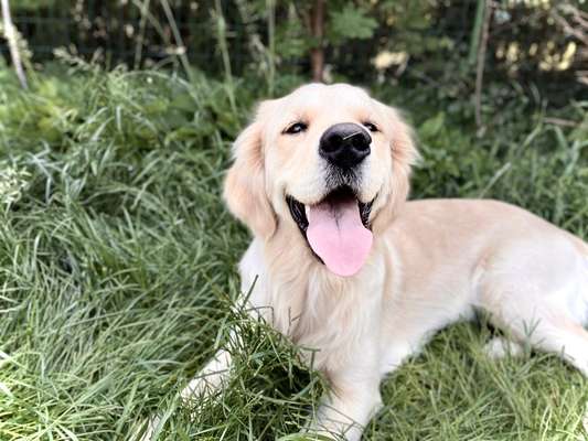 17. Farben Foto Challenge: Pastellfarben-Beitrag-Bild