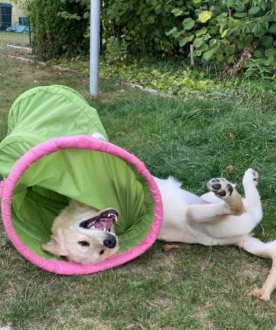 28. Handy-Fotochallenge - Damals und heute-Beitrag-Bild