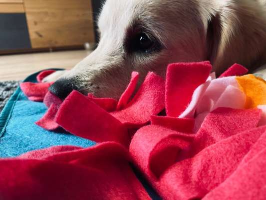 11. Farben Foto Challenge Rot-Beitrag-Bild