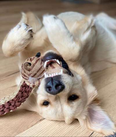 Fotochallenge Nr.122-Beitrag-Bild