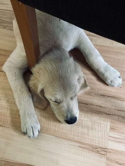 FOTO-Challenge  NR. 91: Die pure Entspannung-Beitrag-Bild