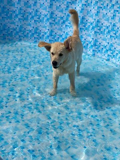 10. Farben Foto-Challenge ---- Blau-Beitrag-Bild