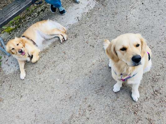 30. Collagen Challenge - Wege/Straßen-Beitrag-Bild