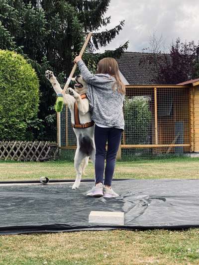 Foto-Challenge Nr. 90: Lebensfreude-Beitrag-Bild