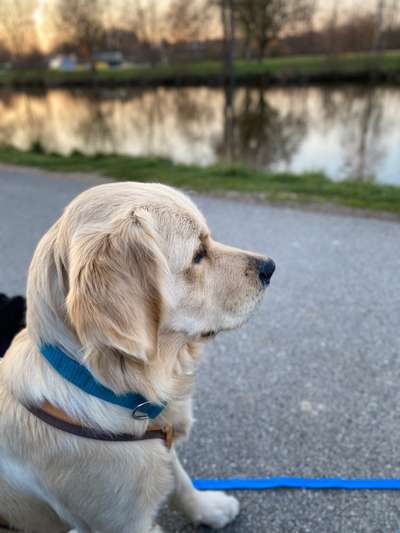 30. Collagen Challenge - Wege/Straßen-Beitrag-Bild