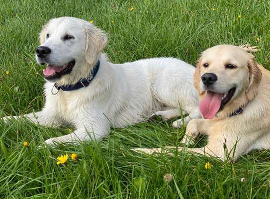 Foto Challenge Nr.: 115-Beitrag-Bild