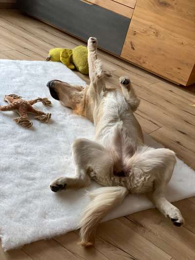 25. Handy Foto Challenge-Beitrag-Bild