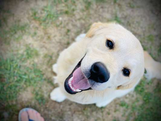 Handy-Foto Challange Nr. 10-Beitrag-Bild