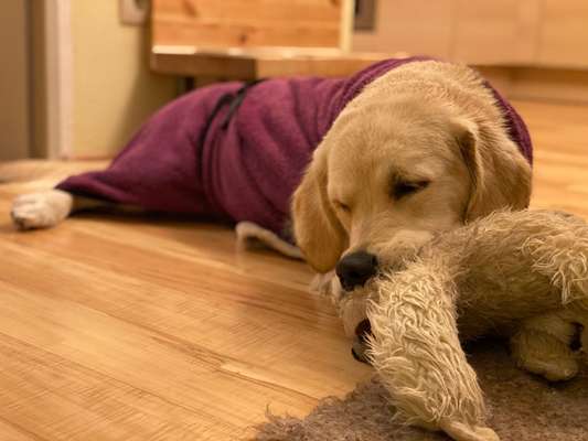 15. Handyfoto Challenge - Indoor Aktivitäten-Beitrag-Bild