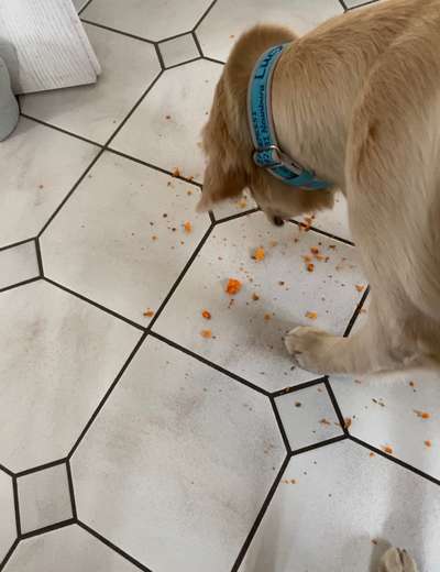 23. Handy Foto-Challenge-Beitrag-Bild