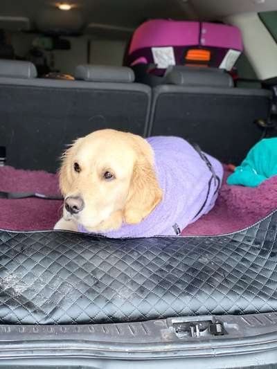 117. Fotochallenge-Beitrag-Bild