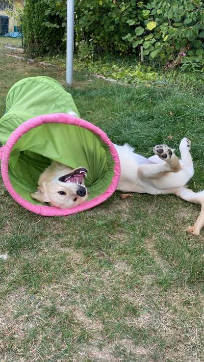 Handy-foto Challange nr. 11-Beitrag-Bild