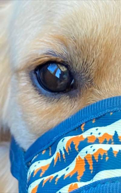 150. Foto Challaenge:  Die Augen, der Spiegel der Seele-Beitrag-Bild