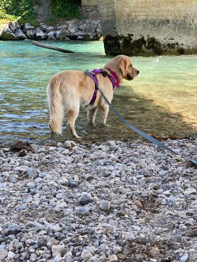 53. Collage Challenge - Verschiedene Blickwinkel-Beitrag-Bild