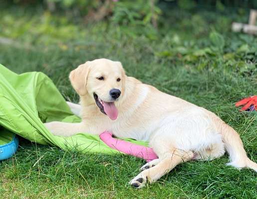 Handyfoto challenge Nr. 13: Waschlappen raus!-Beitrag-Bild