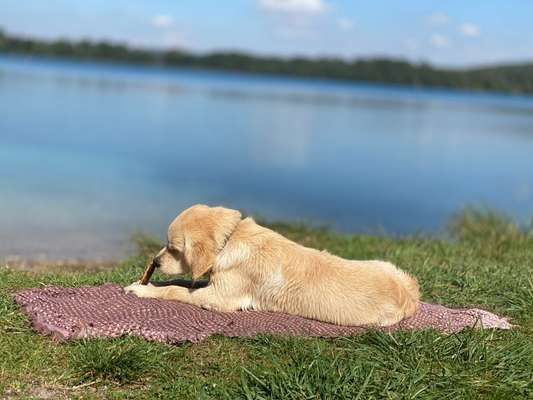 Fotochallenge Nr. 102: Futter balancieren-Beitrag-Bild