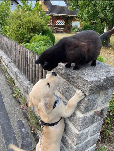 17. Handyfoto – Challenge-Beitrag-Bild