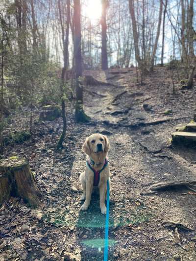 Farben Fotochallenge Sonnenlicht-Beitrag-Bild