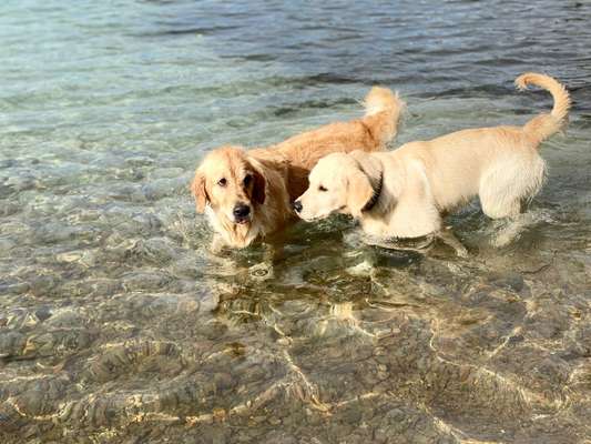 Fotochallenge Nr.100 Urlaubsimpressionen-Beitrag-Bild