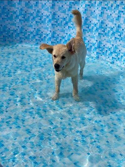 121. Fotochallenge-Beitrag-Bild